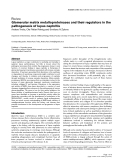 Báo cáo y học: "Glomerular matrix metalloproteinases and their regulators in the pathogenesis of lupus nephritis"