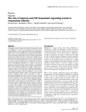 Báo cáo y học: "The role of hypoxia and HIF-dependent signalling events in rheumatoid arthritis"