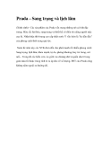 Prada - Sang trọng và lịch lãm