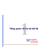 Tổng quan về Cơ sở dữ liệu - Chương 1