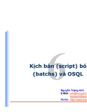 Kịch bản (script) bó (batchs) và OSQL