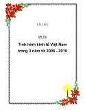 Baì tiểu luận: tình hình kinh tế Việt Nam trong 3 năm 2008 - 2010