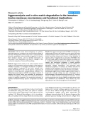 Báo cáo y học: "Aggrecanolysis and in vitro matrix degradation in the immature bovine meniscus: mechanisms and functional implications"