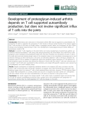 Báo cáo y học: "Development of proteoglycan-induced arthritis depends on T cell-supported autoantibody production, but does not involve significant influx of T cells into the joints."