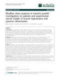 Báo cáo y học: "Myofiber stress-response in myositis: parallel investigations on patients and experimental animal models of muscle regeneration and systemic inflammation"