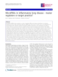 Báo cáo y học: " MicroRNAs in inflammatory lung disease - master regulators or target practice?"