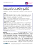 Báo cáo y học: " Smoking-mediated up-regulation of GAD67 expression in the human airway epithelium"