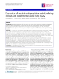 Báo cáo y học: " Expression of neutral endopeptidase activity during clinical and experimental acute lung injury"