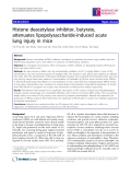 Báo cáo y học: "Histone deacetylase inhibitor, butyrate, attenuates lipopolysaccharide-induced acute lung injury in mice"