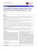 Báo cáo y học: "A prostacyclin analogue, iloprost, protects from bleomycin-induced pulmonary fibrosis in mice"