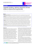 Báo cáo y học: "Cigarette smoking, cadmium exposure, and zinc intake on obstructive lung disorder"