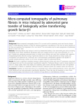 Báo cáo y học: "  Micro-computed tomography of pulmonary fibrosis in mice induced by adenoviral gene transfer of biologically active transforming growth factor-b1"