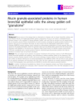 Báo cáo y học: " Mucin granule-associated proteins in human bronchial epithelial cells: the airway goblet cell “granulome”