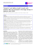 Báo cáo y học: " Tenascin-C and alpha-smooth muscle actin positive cells are increased in the large airways in patients with COPD"