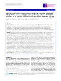 Báo cáo y học: " Epithelial cell senescence impairs repair process and exacerbates inflammation after airway injury"