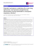 Báo cáo y học: "Potential mechanisms underlying the acute lung dysfunction and bacterial extrapulmonary dissemination during Burkholderia cenocepacia respiratory infection"