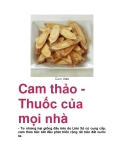 Cam thảo Thuốc của mọi nhà