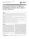 Báo cáo sinh học: " Exploring internal features of 16S rRNA gene for identification of clinically relevant species of the genus Streptococcus"