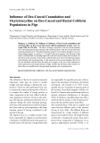 Báo cáo khoa học: "Inﬂuence of Ileo-Caecal Cannulation and Oxytetracycline on Ileo-Caecal and Rectal Coliform Populations in Pigs"