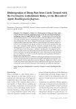 Báo cáo khoa học: "Disintegration of Dung Pats from Cattle Treated with the Ivermectin Anthelmintic Bolus, or the Biocontrol Agent Duddingtonia ﬂagrans"