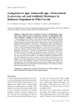 Báo cáo khoa học: "Campylobacter spp., Salmonella spp., Verocytotoxic Escherichia coli, and Antibiotic Resistance in Indicator Organisms in Wild Cervids"