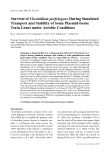 Báo cáo khoa học: "Survival of Clostridium perfringens During Simulated Transport and Stability of Some Plasmid-borne Toxin Genes under Aerobic Conditions"