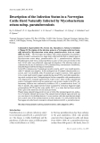 Báo cáo khoa học: "Description of the Infection Status in a Norwegian Cattle Herd Naturally Infected by Mycobacterium avium subsp. paratuberculosis."