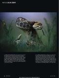 bbc wildlife magazine 2010 phần 3