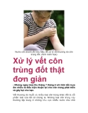 Xử lý vết côn trùng đốt thật đơn giản