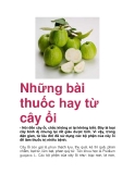 Những bài thuốc hay từ cây ổi