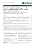 Báo cáo y học: "Mapping of citrullinated fibrinogen B-cell epitopes in rheumatoid arthritis by imaging surface plasmon resonance"