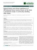 Báo cáo y học: "Natural history and clinical significance of MRI-detected bone marrow lesions at the knee: a prospective study in community dwelling older adults"