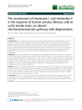 Báo cáo y học: "The involvement of interleukin-1 and interleukin-4 in the response of human annulus fibrosus cells to cyclic tensile strain: an altered mechanotransduction pathway with degeneration"