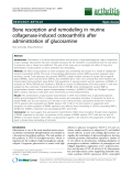 Báo cáo y học: "Bone resorption and remodeling in murine collagenase-induced osteoarthritis after administration of glucosamine"