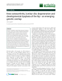 Báo cáo y học: "Knee osteoarthritis, lumbar-disc degeneration and developmental dysplasia of the hip - an emerging genetic overlap"