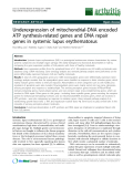 Báo cáo y học: "Underexpression of mitochondrial-DNA encoded ATP synthesis-related genes and DNA repair genes in systemic lupus erythematosus"