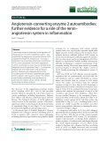 Báo cáo y học: " Angiotensin-converting enzyme 2 autoantibodies: further evidence for a role of the renin– angiotensin system in inflammation"