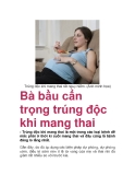 Bà bầu cẩn trọng trúng độc khi mang thai