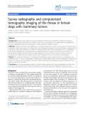 Báo cáo thú y: "Survey radiography and computerized tomography imaging of the thorax in female dogs with mammary tumors"