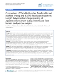 Báo cáo thú y: " Comparison of Variable-Number Tandem-Repeat Markers typing and IS1245 Restriction Fragment Length Polymorphism fingerprinting of Mycobacterium avium subsp. hominissuis from human and porcine origins"
