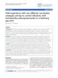 Báo cáo thú y: " Field experience with two different vaccination strategies aiming to control infections with Actinobacillus pleuropneumoniae in a fattening pig herd"