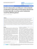 Báo cáo thú y: "Use of a doxycycline-enrofloxacin-metronidazole combination with/without diminazene diaceturate to treat naturally occurring canine babesiosis caused by Babesia gibsoni"