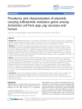 Báo cáo khoa học: "Prevalence and characterization of plasmids carrying sulfonamide resistance genes among Escherichia coli from pigs, pig carcasses and human"