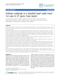 Báo cáo y học: "Anthrax outbreak in a Swedish beef cattle herd 1st case in 27 years: Case report"