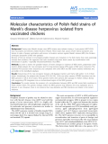 Báo cáo khoa học: " Molecular characteristics of Polish field strains of Marek’s disease herpesvirus isolated from vaccinated chickens"