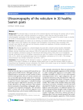 Báo cáo khoa học: "Ultrasonography of the reticulum in 30 healthy Saanen goats"