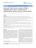 Báo cáo khoa học: " Salmonella Typhimurium invasion of HEp-2 epithelial cells in vitro is increased by Nacylhomoserine lactone quorum sensing signals"