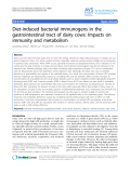 Báo cáo khoa học: "Diet-induced bacterial immunogens in the gastrointestinal tract of dairy cows: Impacts on immunity and metabolism"