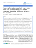 Báo cáo khoa học: "Hypertrophic cardiomyopathy in young Maine Coon cats caused by the p.A31P cMyBP-C mutation - the clinical significance of having the mutation"