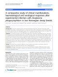 Báo cáo khoa học: "A comparative study of clinical manifestations, haematological and serological responses after experimental infection with Anaplasma phagocytophilum in two Norwegian sheep breeds"